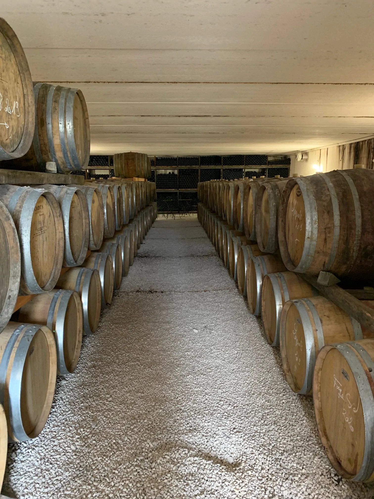 un verre de vin rouge posé sur une barrique de Laquets
